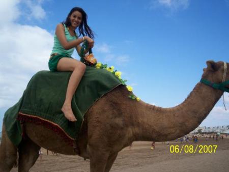 chofo chofo chofo               ************************kkkkkkkkkkkkkkkkkkkkkkkk
